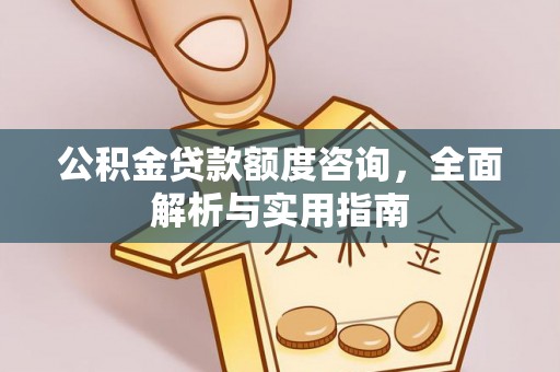 达川公积金贷款额度咨询，全面解析与实用指南