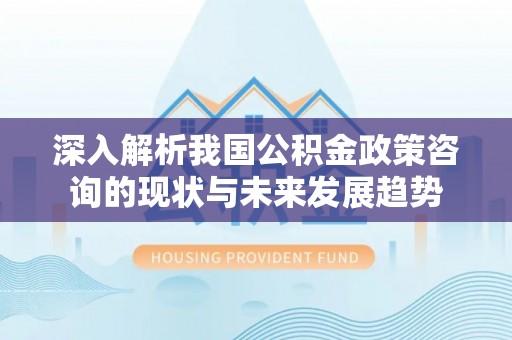 达川深入解析我国公积金政策咨询的现状与未来发展趋势