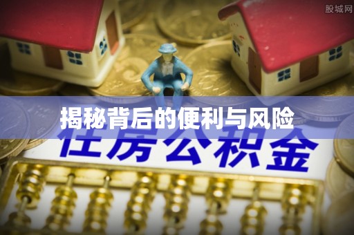 达川揭秘背后的便利与风险
