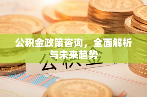 达川公积金政策咨询，全面解析与未来趋势